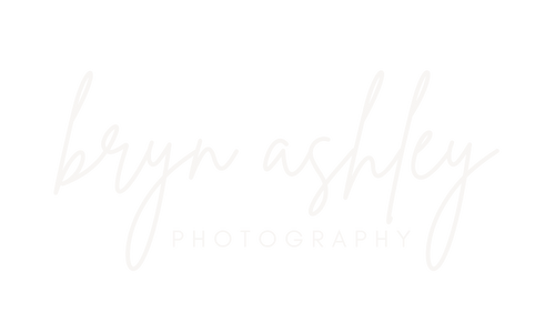 brynashley logo