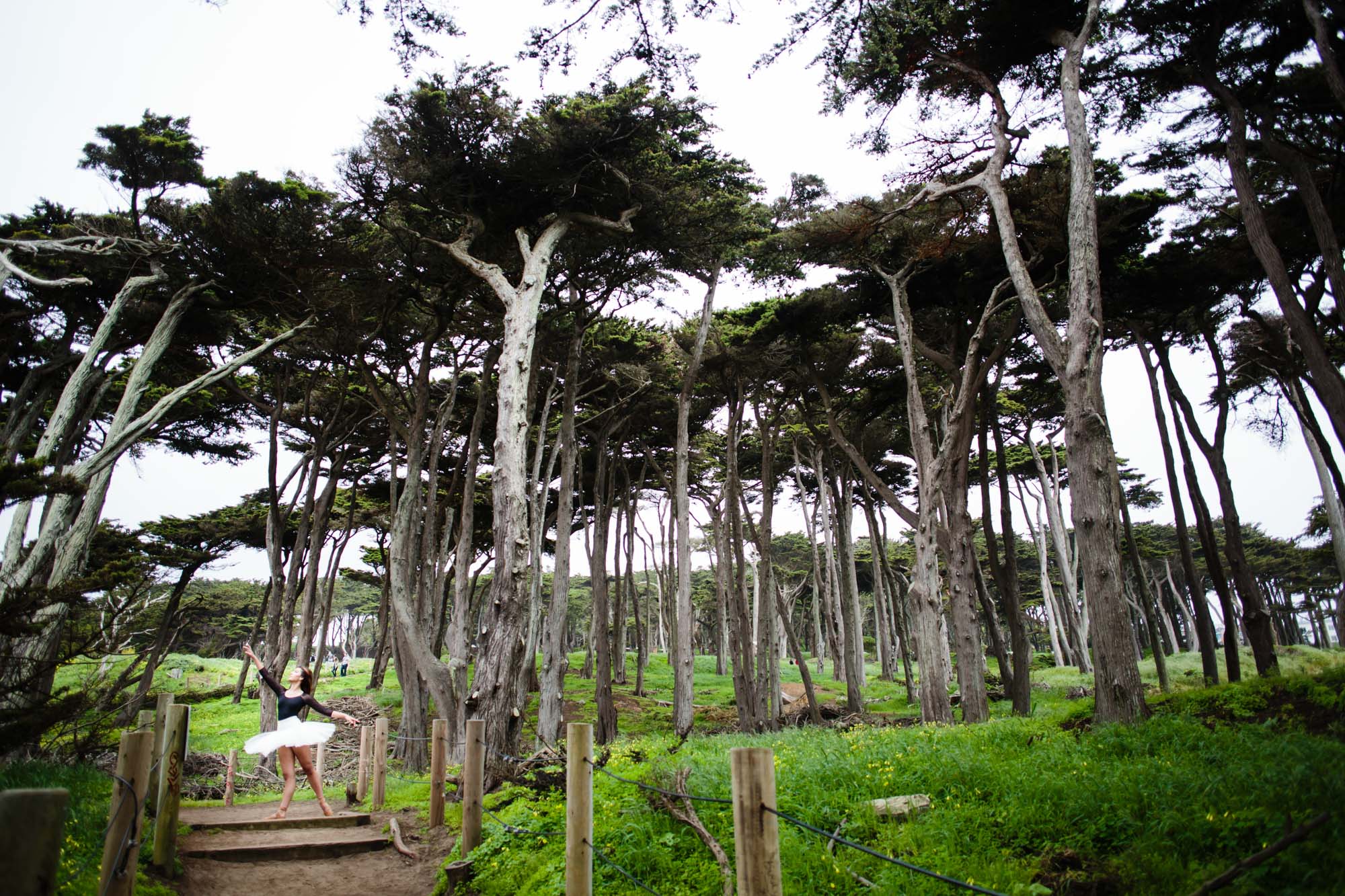 bellevue issaquah ballet photographer brynashley 11